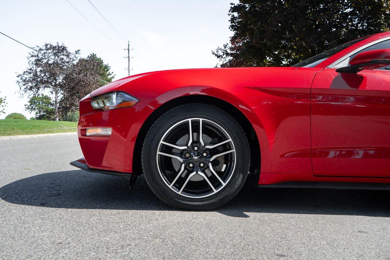 2021 Ford Mustang EcoBoost Premium Photo