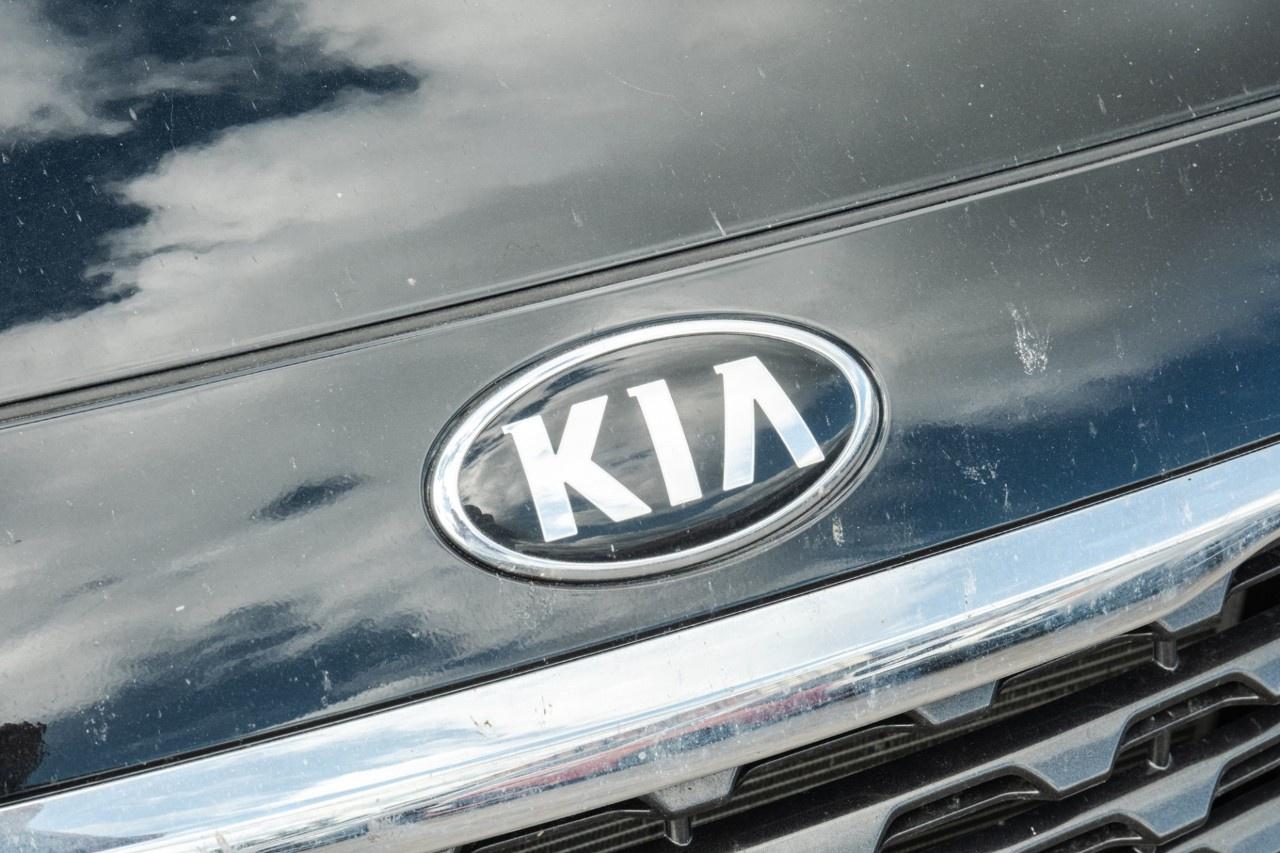 2019 Kia Sedona LX FWD Photo