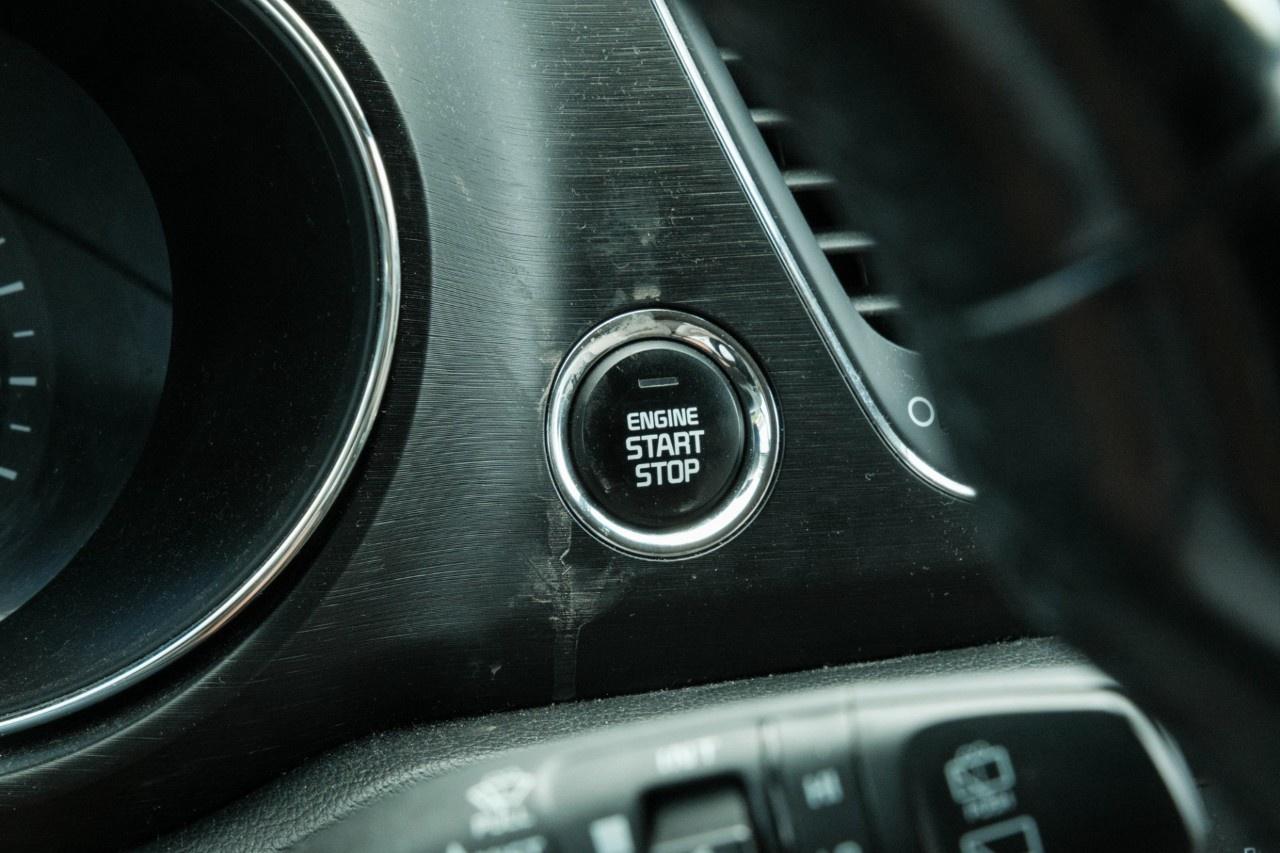 2019 Kia Sedona LX FWD Photo