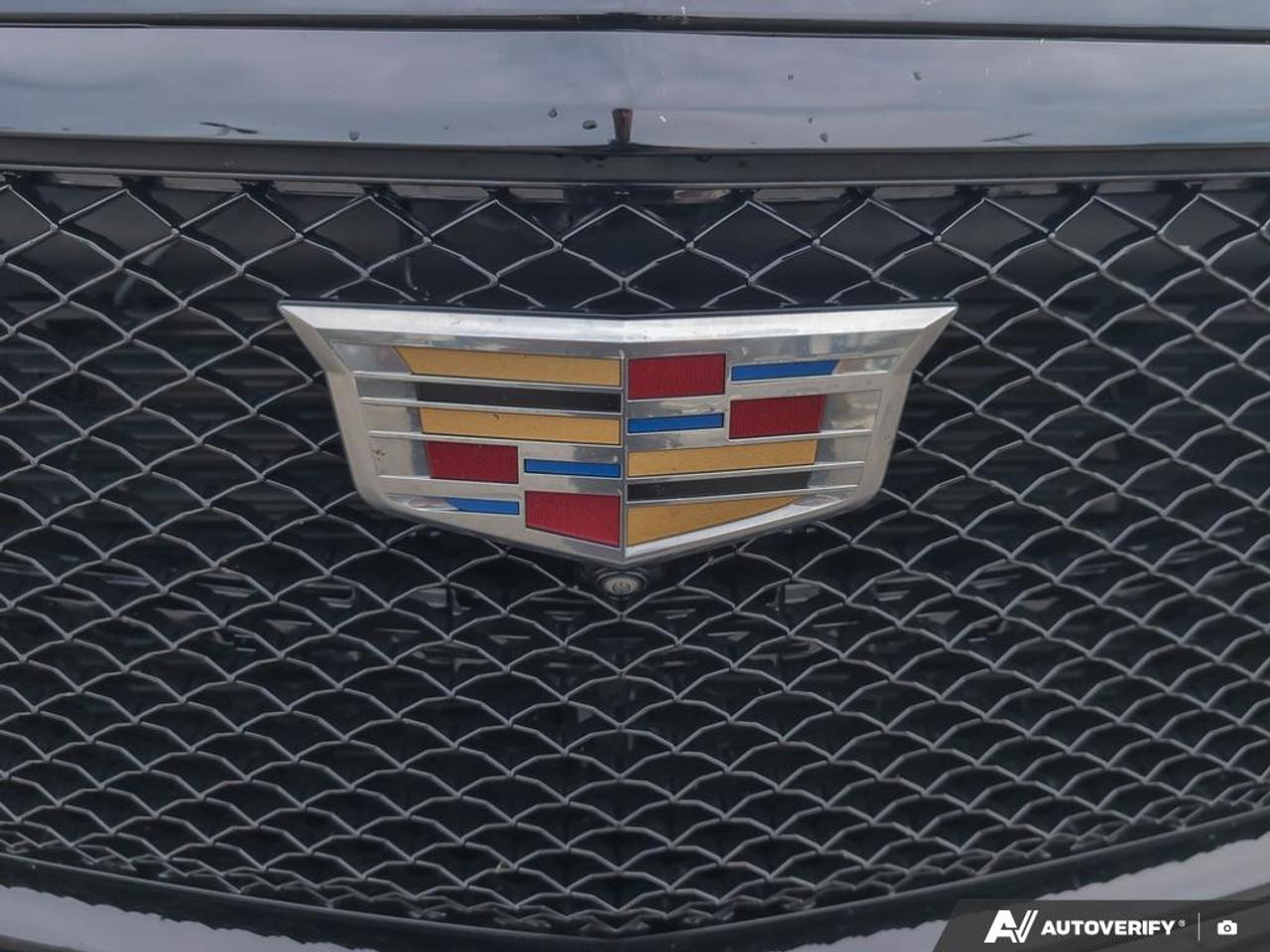 2023 Cadillac Escalade Sport Platinum 4x4 Photo