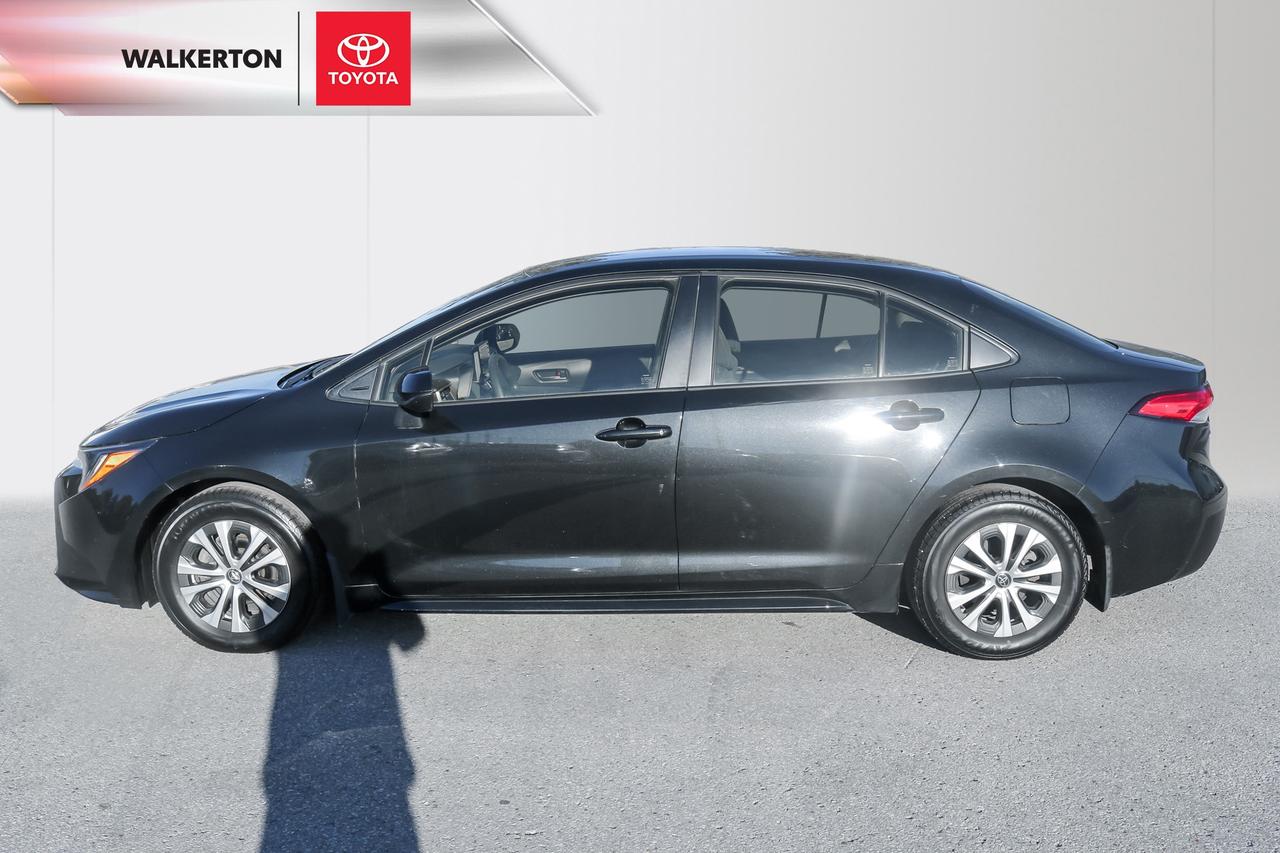 2022 Toyota Corolla Hybrid Base w/Li Battery 4dr Sedan Photo