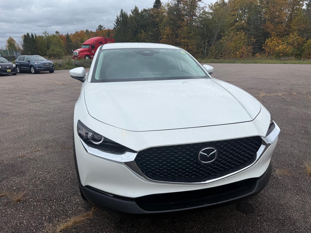 2026 Mazda CX-30 GS 4dr i-ACTIV All-Wheel Drive Sport Utility Photo