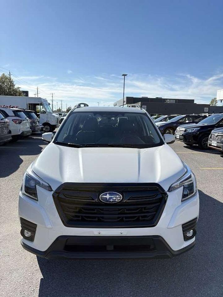 2024 Subaru Forester Limited Photo