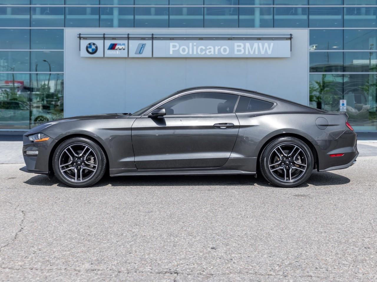 2019 Ford Mustang  Photo3