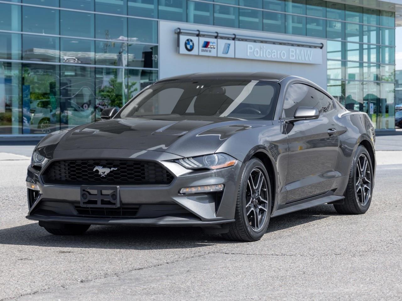 2019 Ford Mustang  Photo0