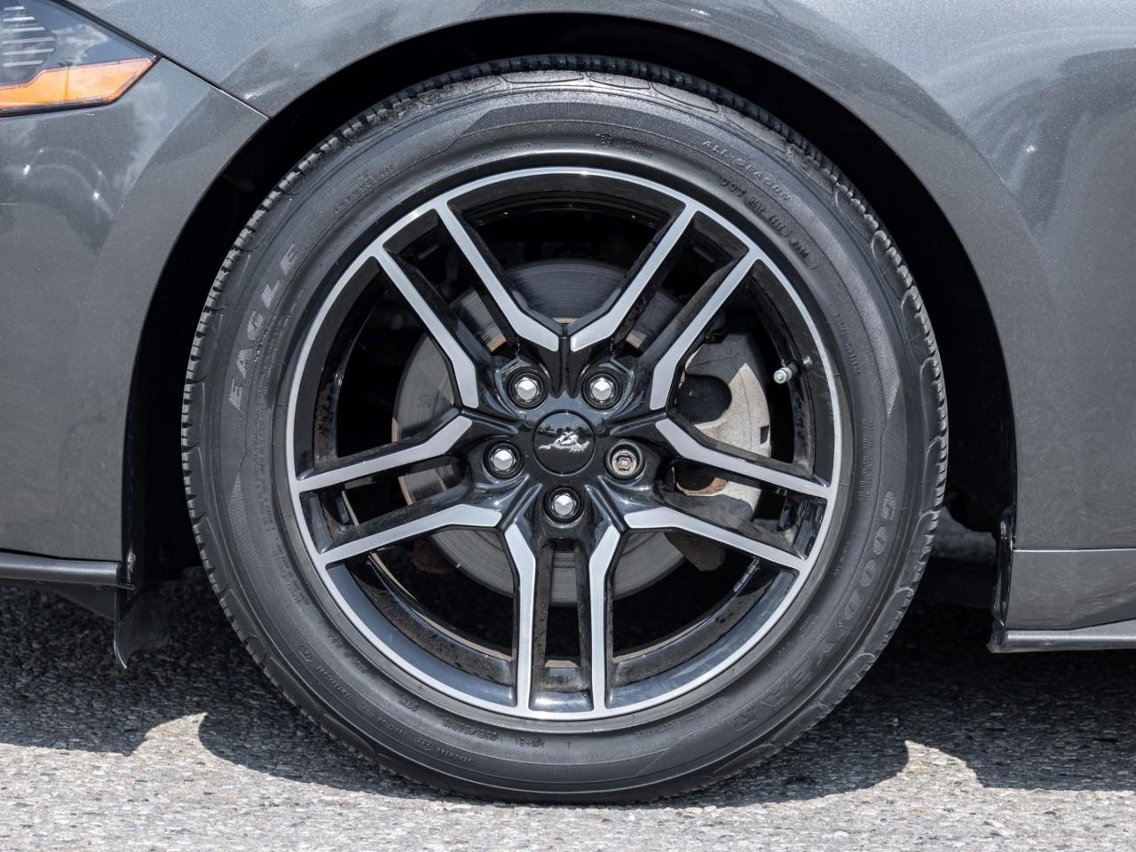 2019 Ford Mustang  Photo