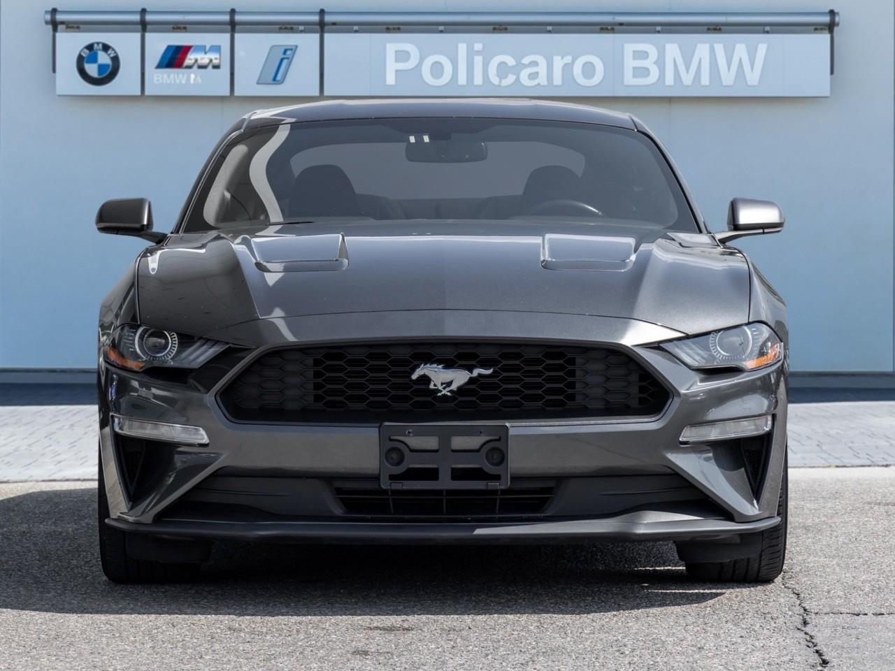2019 Ford Mustang  Photo5