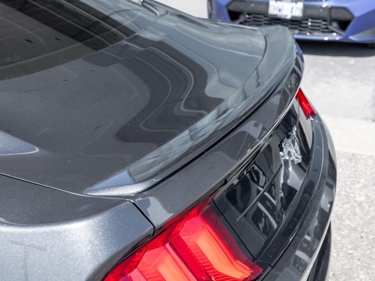 2019 Ford Mustang  Photo