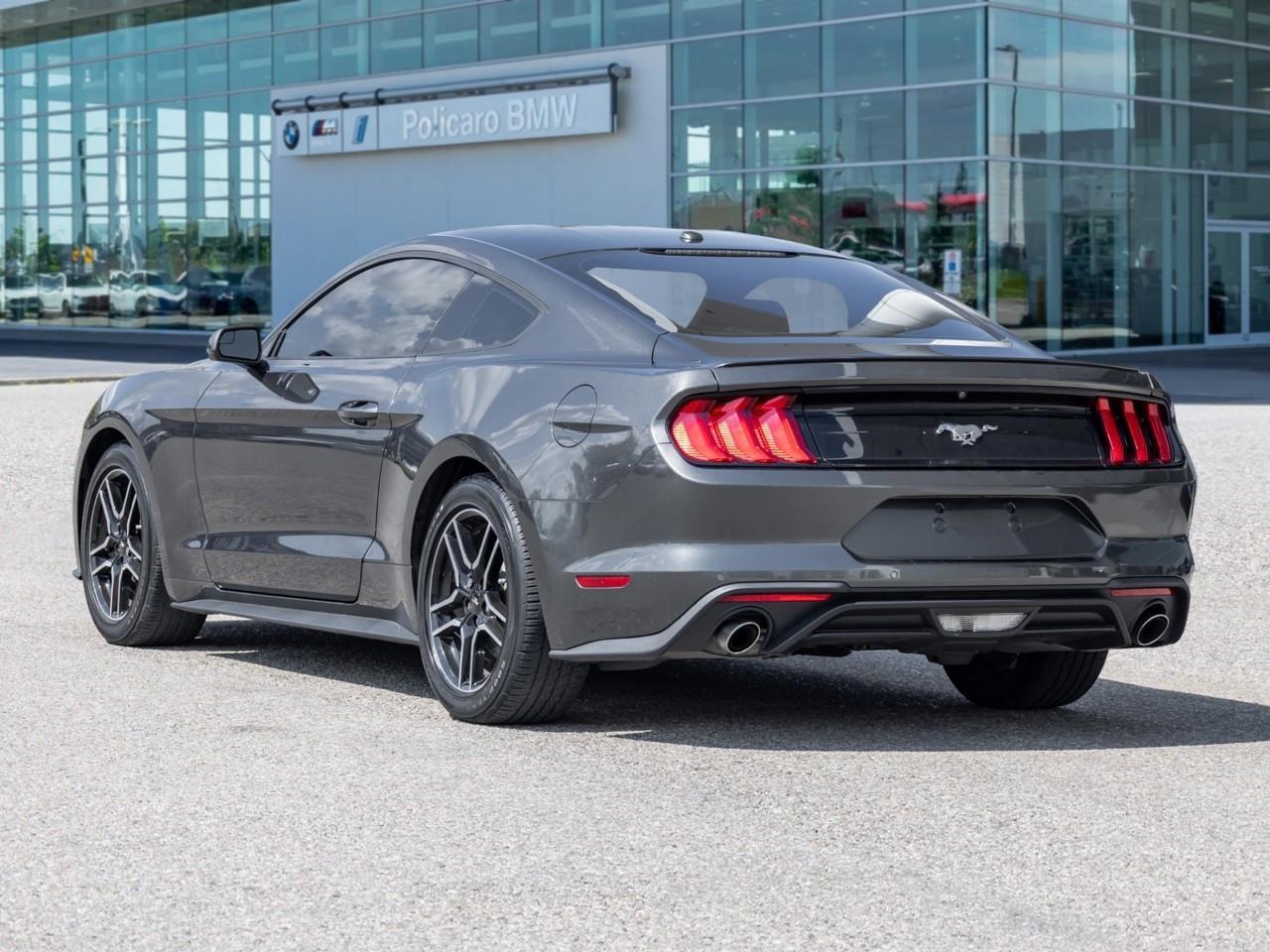 2019 Ford Mustang  Photo