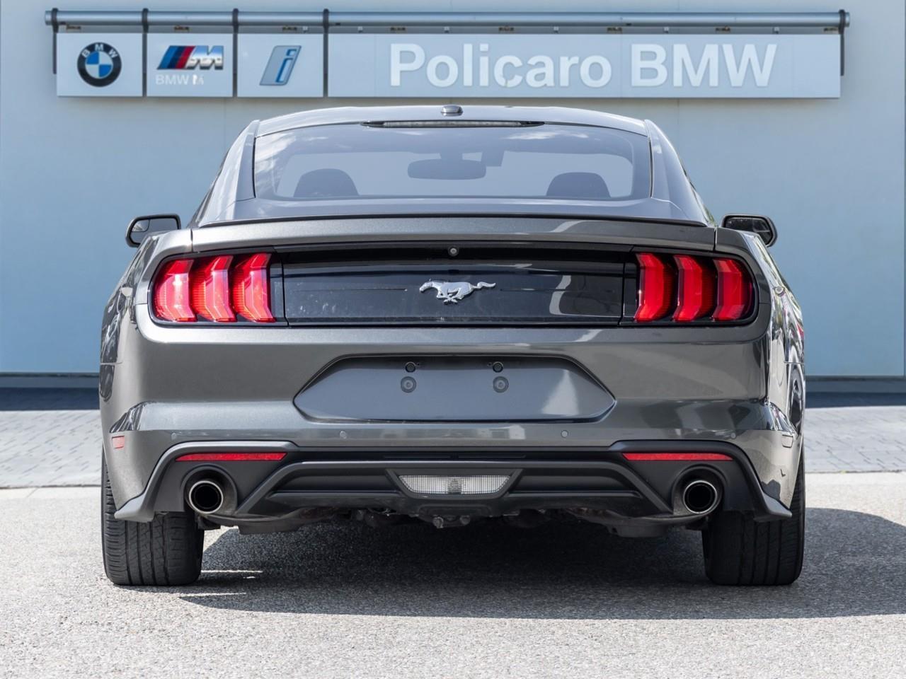 2019 Ford Mustang  Photo