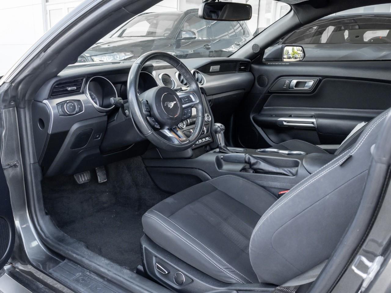 2019 Ford Mustang  Photo