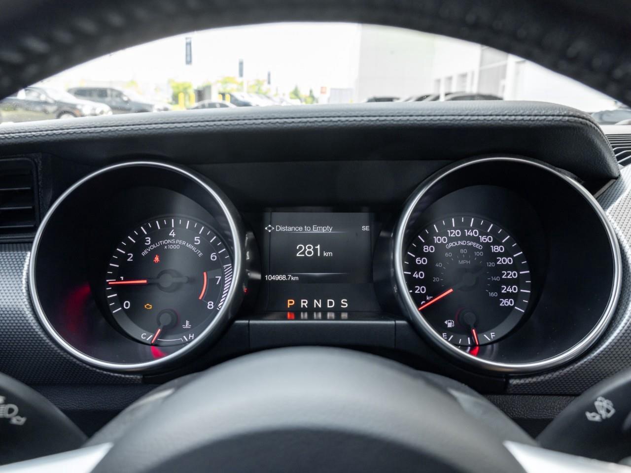 2019 Ford Mustang  Photo