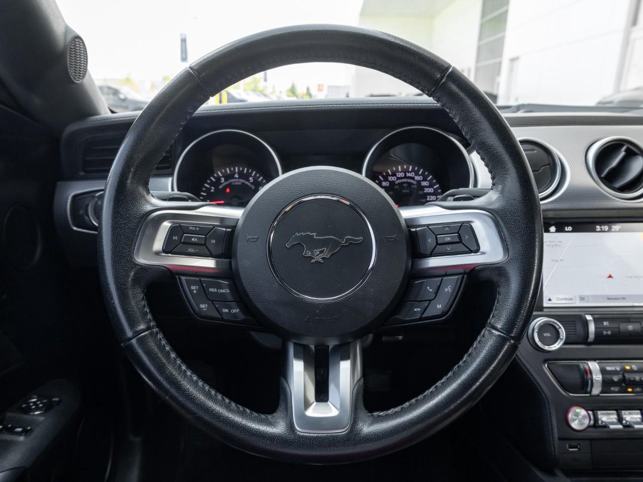 2019 Ford Mustang  Photo