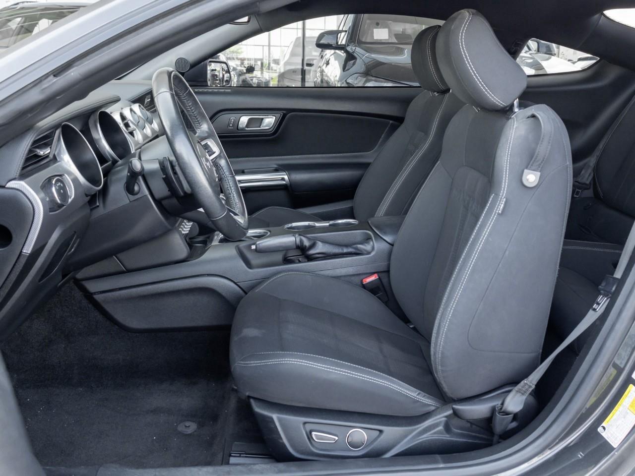 2019 Ford Mustang  Photo