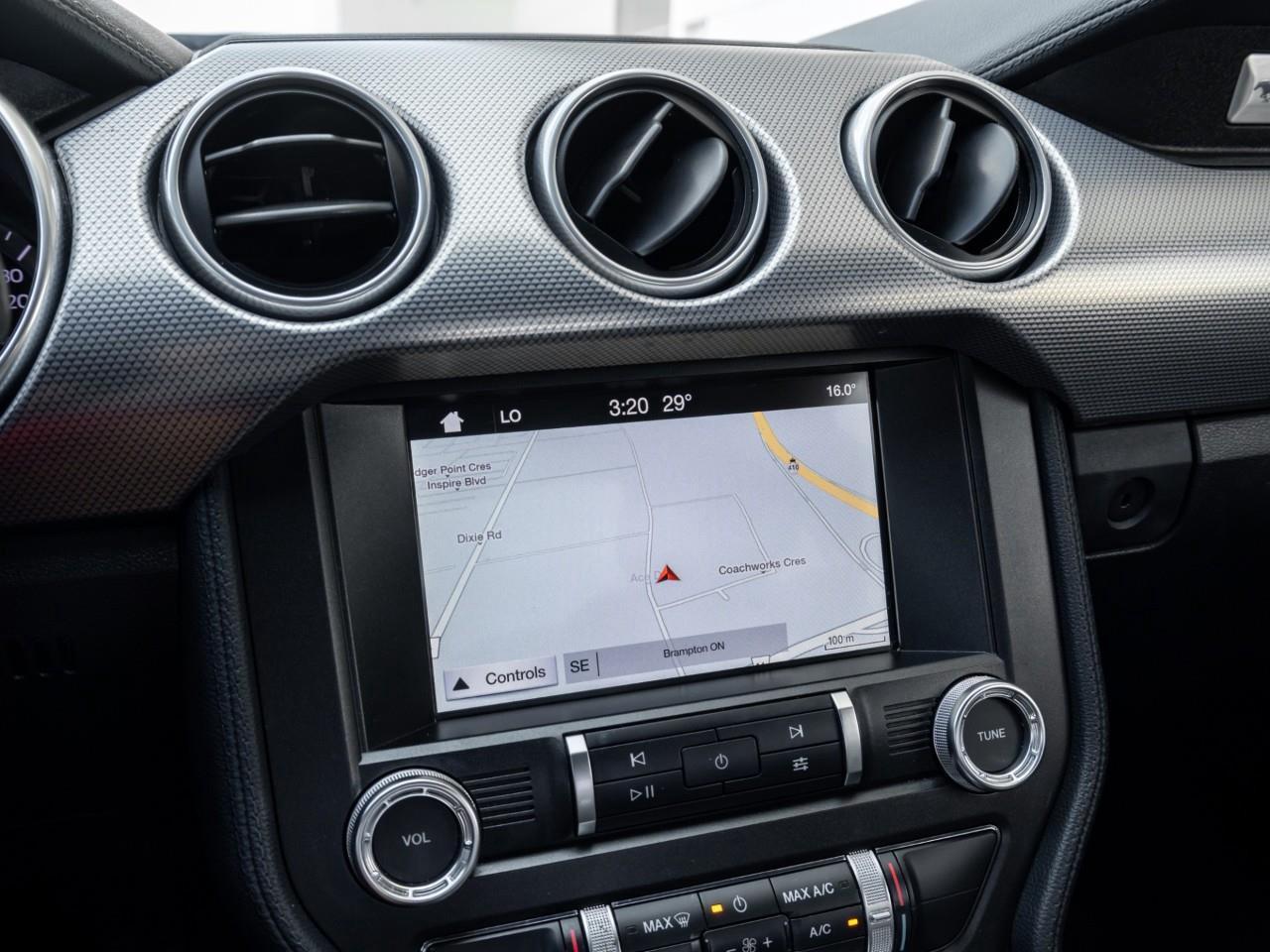 2019 Ford Mustang  Photo