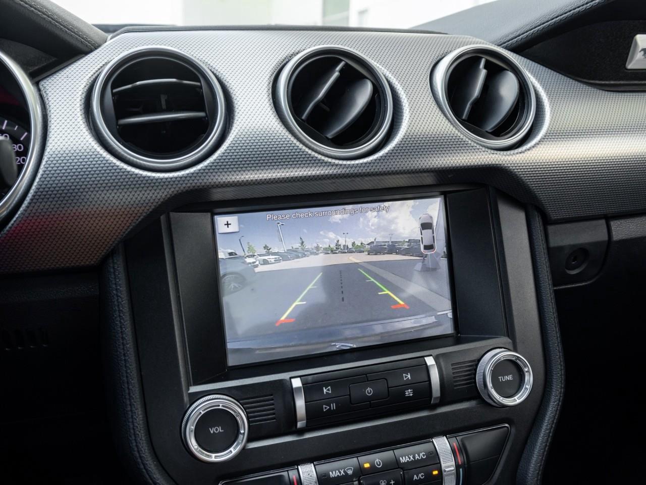 2019 Ford Mustang  Photo