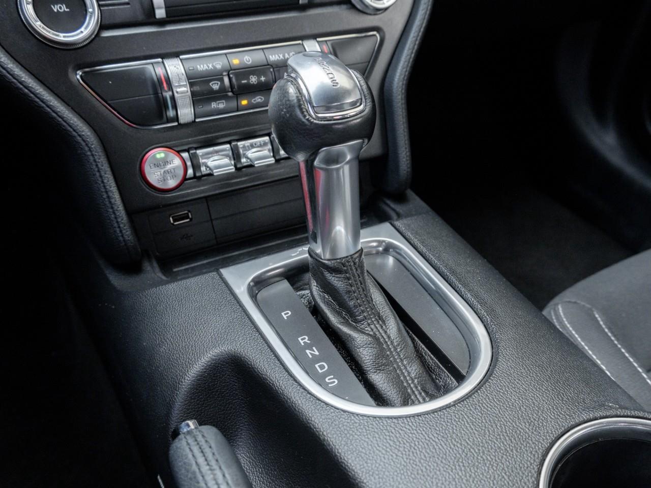 2019 Ford Mustang  Photo
