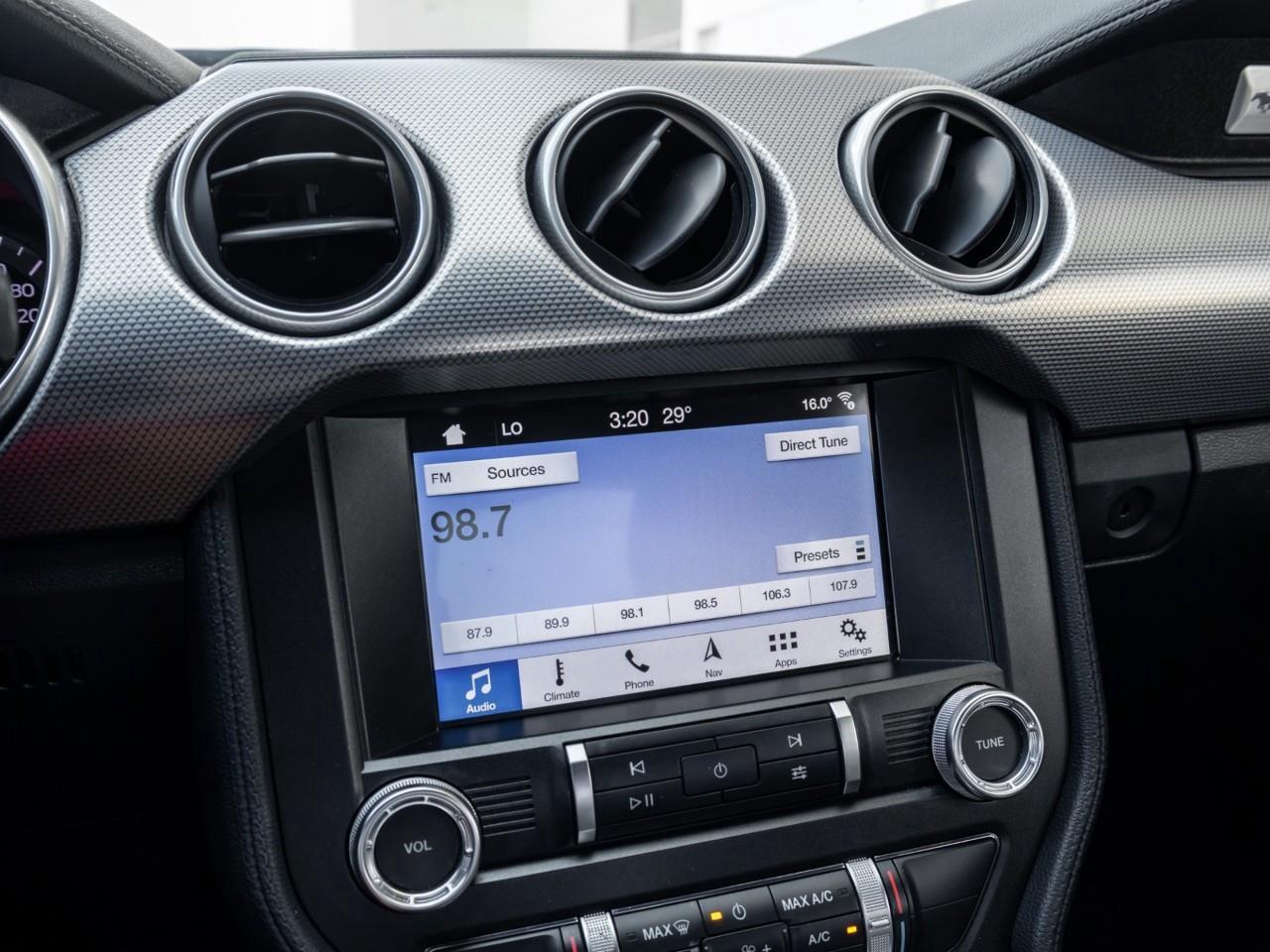 2019 Ford Mustang  Photo