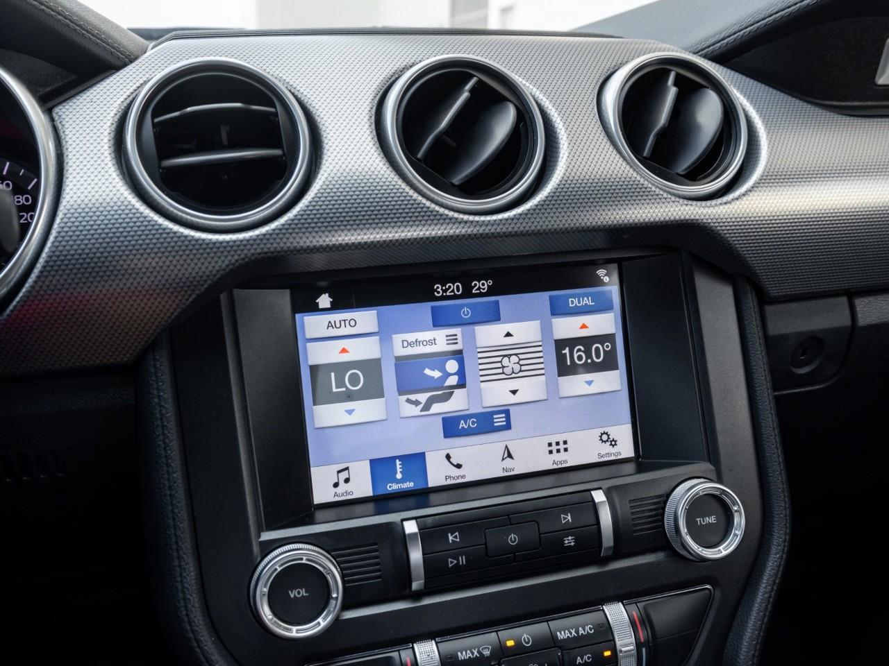 2019 Ford Mustang  Photo