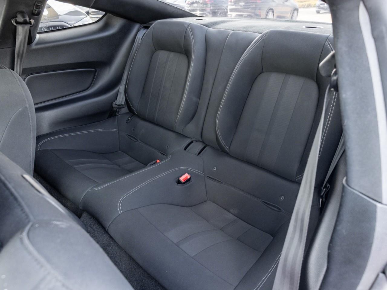 2019 Ford Mustang  Photo