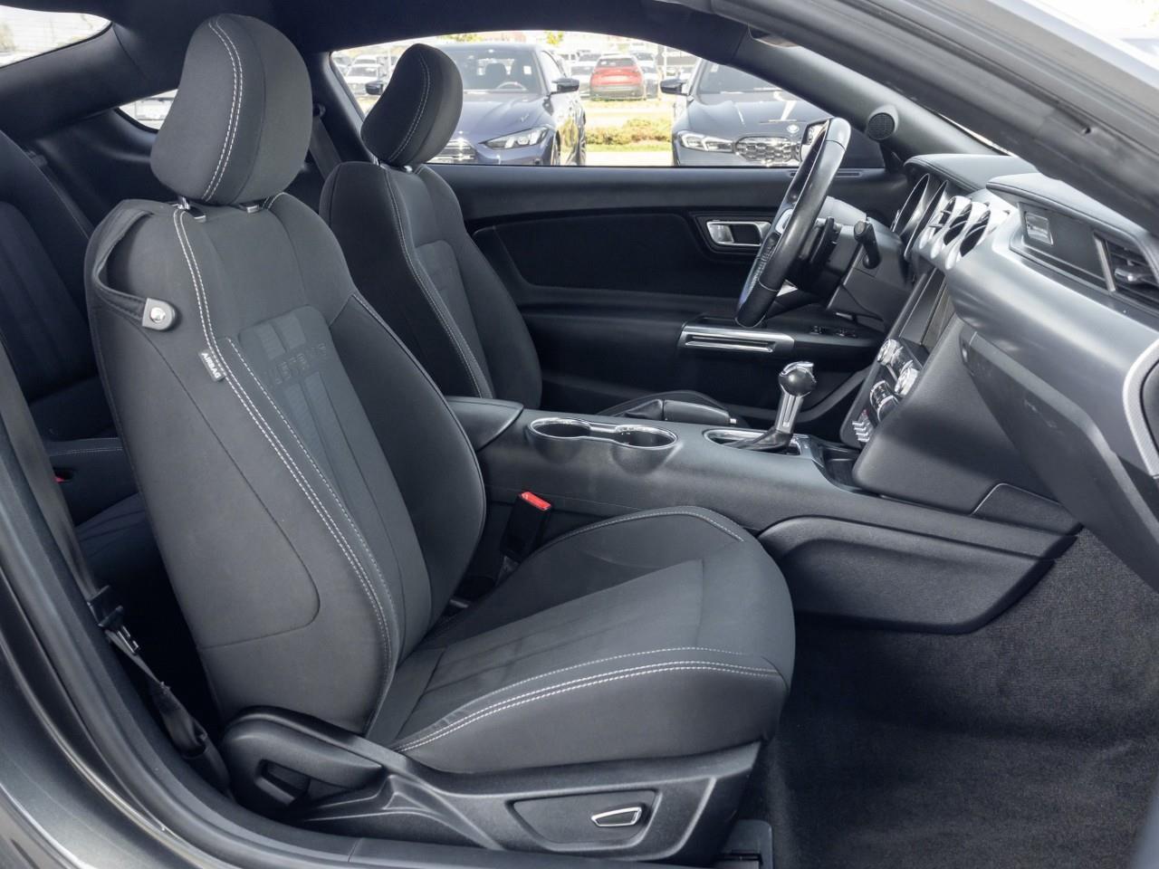 2019 Ford Mustang  Photo