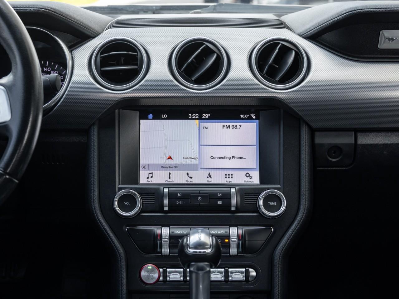 2019 Ford Mustang  Photo
