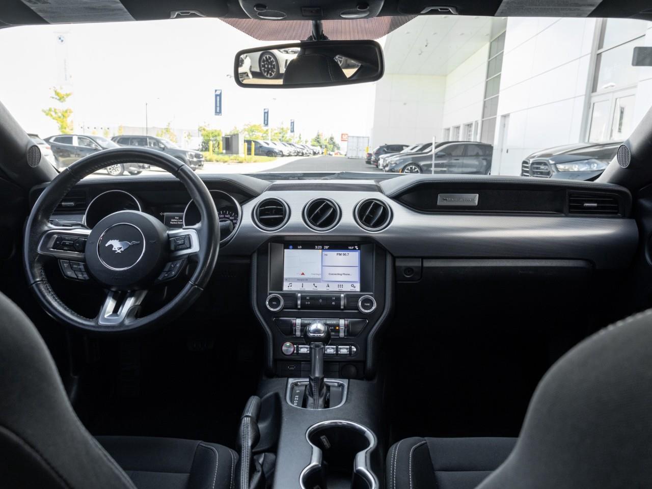 2019 Ford Mustang  Photo