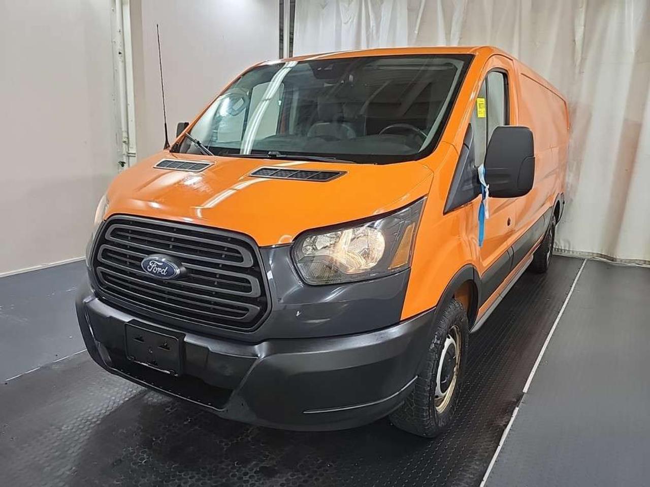 2019 Ford Transit Cargo 148WB Low Roof  + Shelves *SAFETY INCLUDED* Photo0