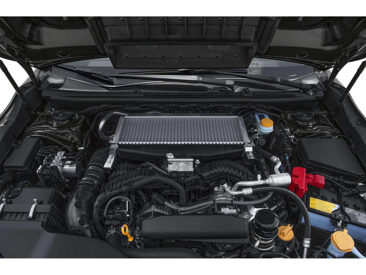 2024 Subaru WRX  Photo