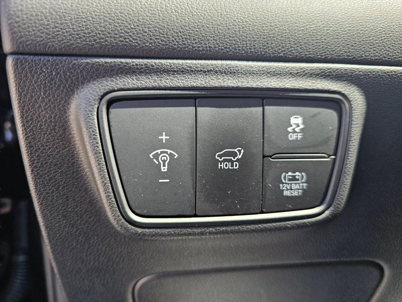 2024 Hyundai Tucson Hybrid  Photo