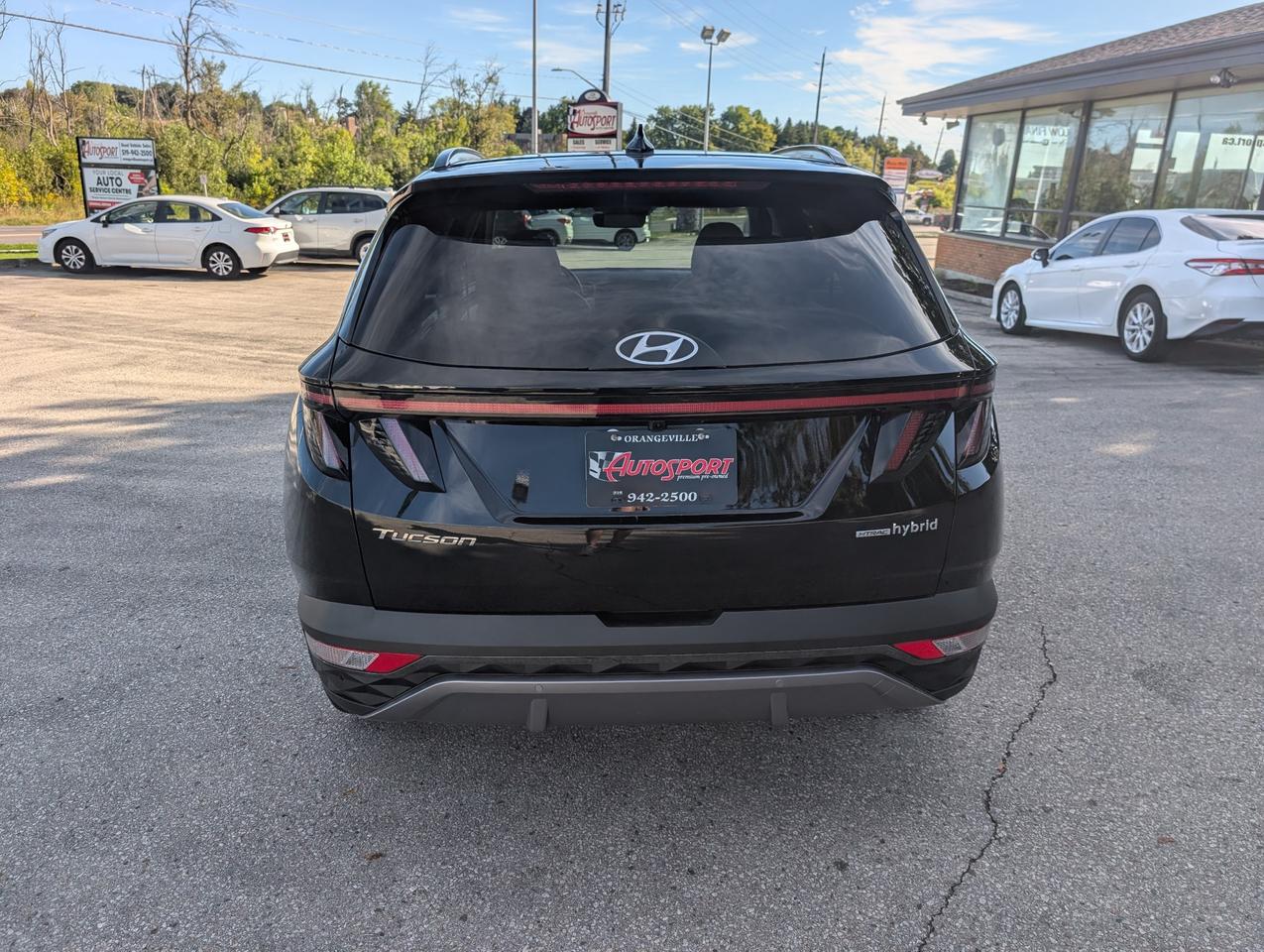 2024 Hyundai Tucson Hybrid Luxury 4dr All-Wheel Drive Photo