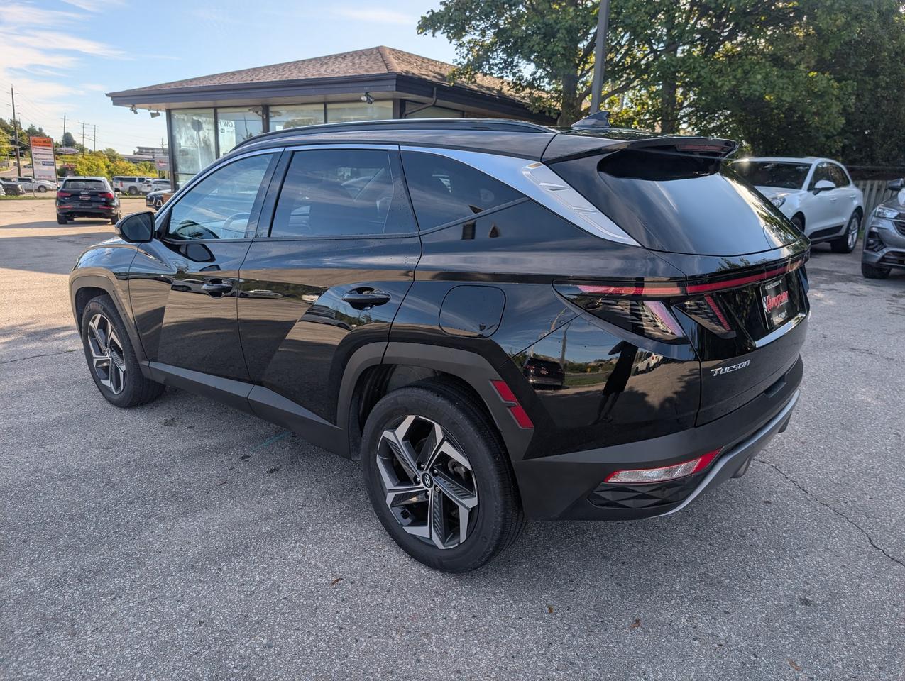2024 Hyundai Tucson Hybrid Luxury 4dr All-Wheel Drive Photo
