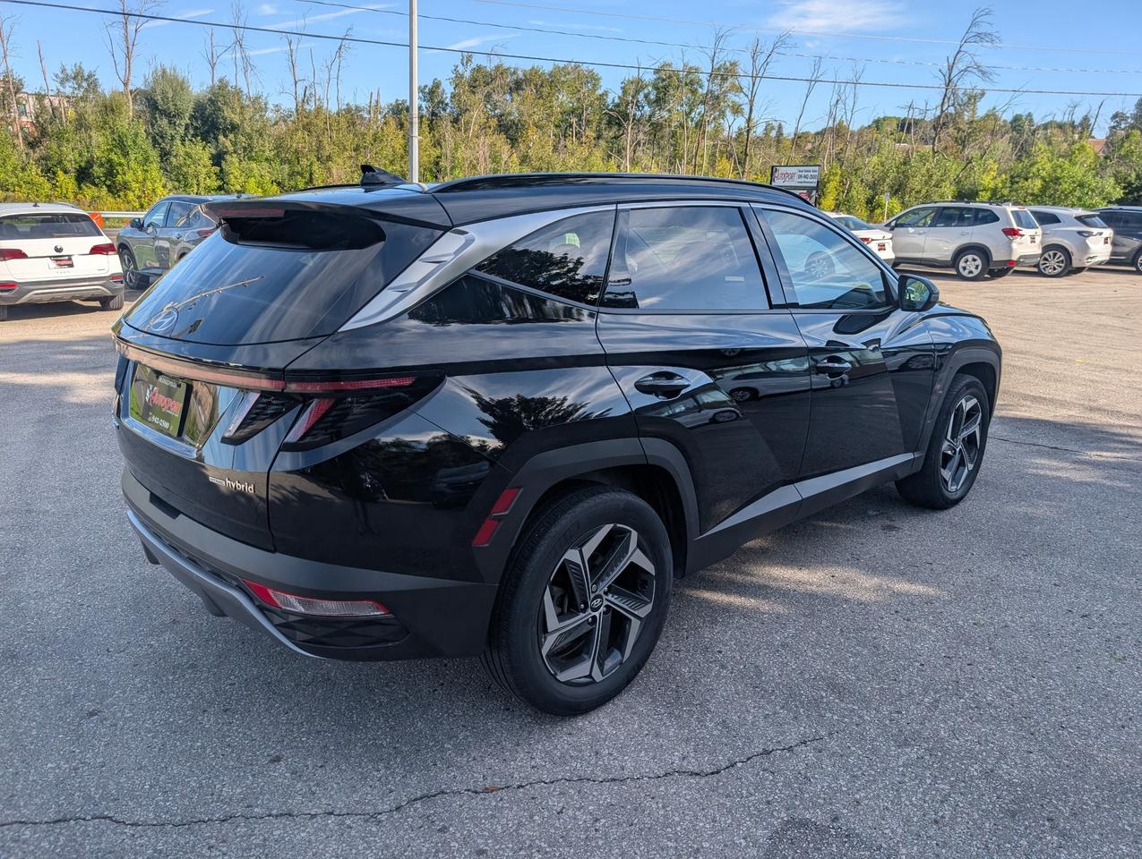 2024 Hyundai Tucson Hybrid Luxury 4dr All-Wheel Drive Photo