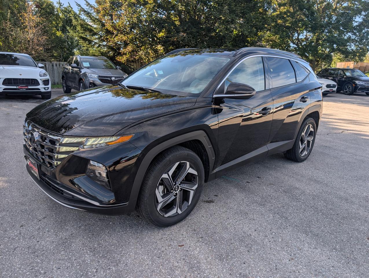 2024 Hyundai Tucson Hybrid Luxury 4dr All-Wheel Drive Photo