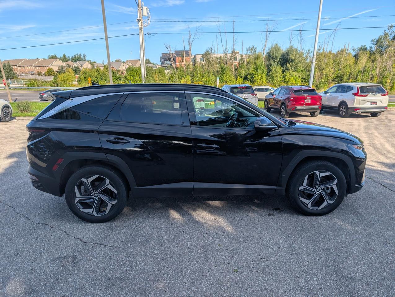 2024 Hyundai Tucson Hybrid Luxury 4dr All-Wheel Drive Photo