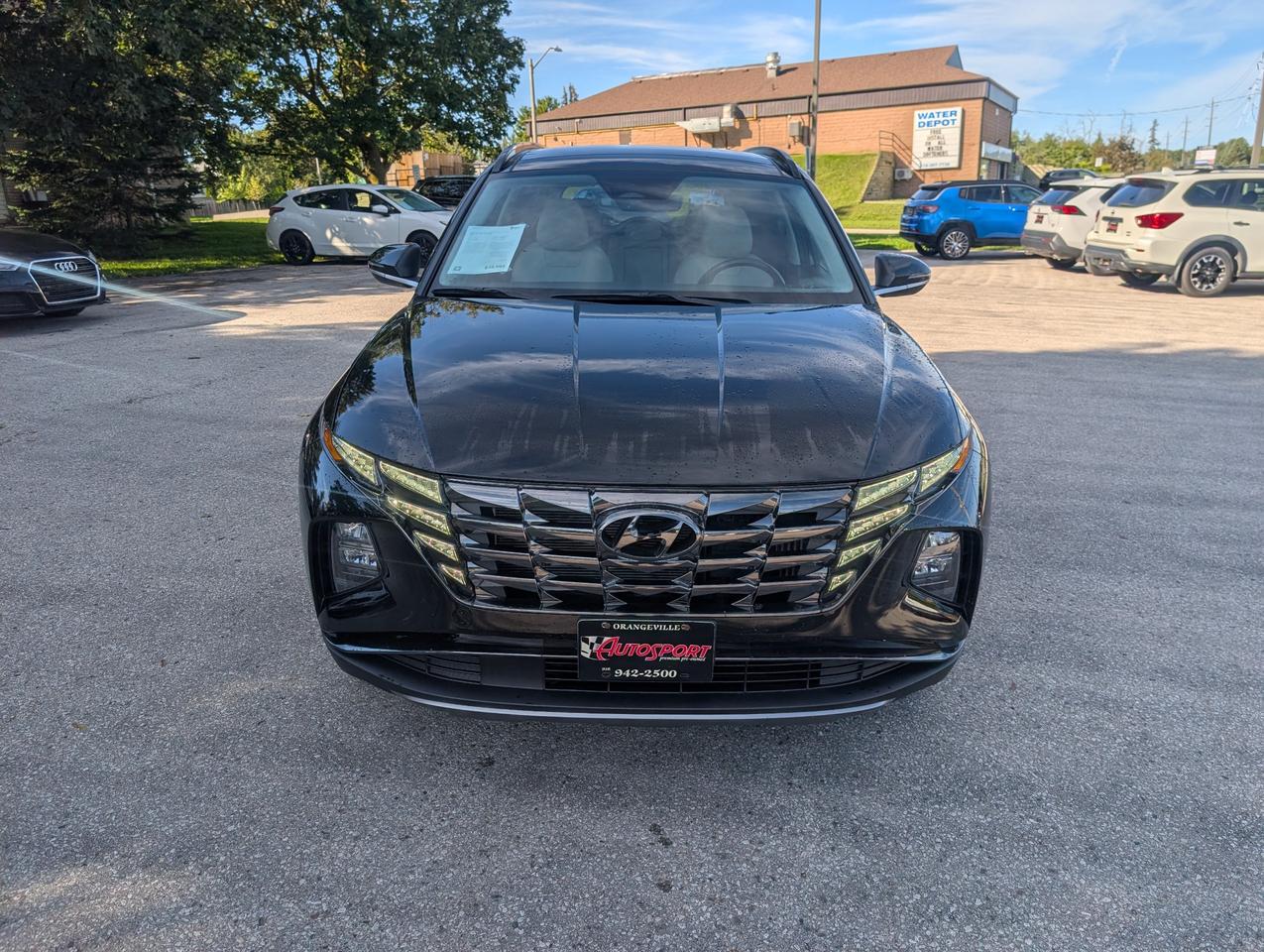 2024 Hyundai Tucson Hybrid Luxury 4dr All-Wheel Drive Photo