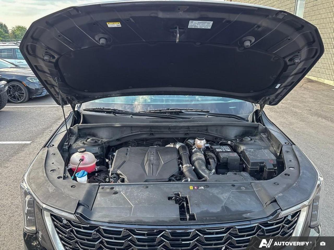 2025 Kia Sorento  Photo