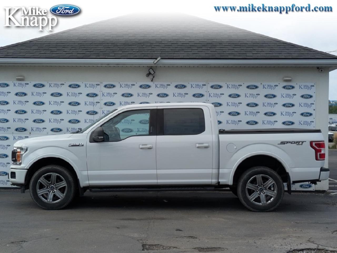 2019 Ford F-150 XLT Photo