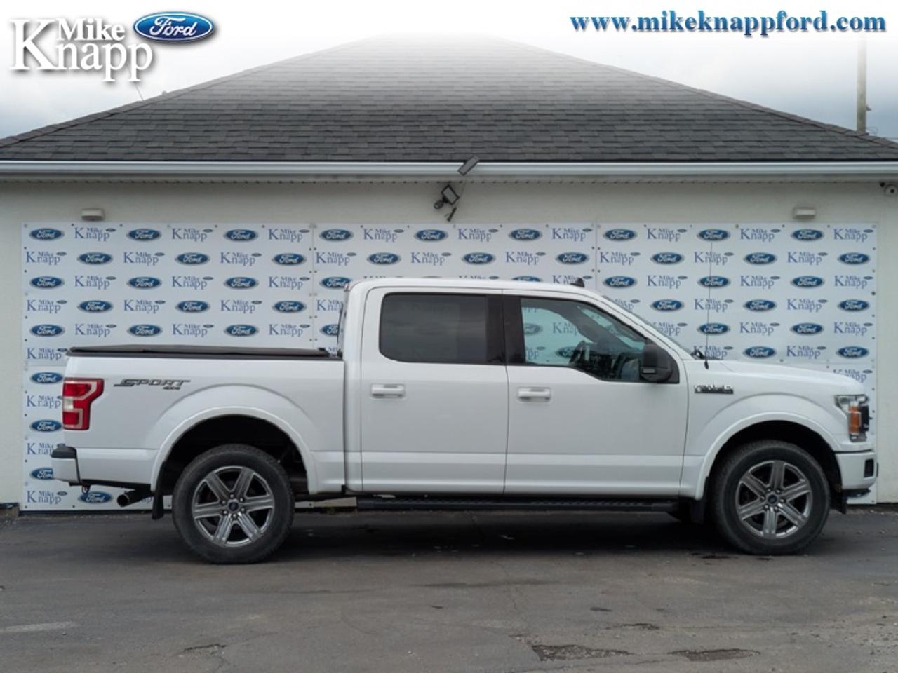 2019 Ford F-150 XLT Photo