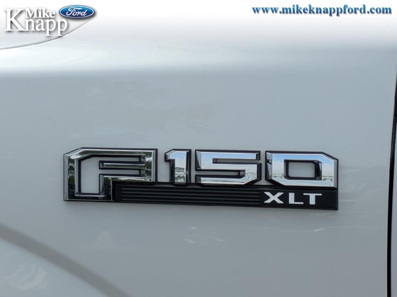2019 Ford F-150 XLT Photo