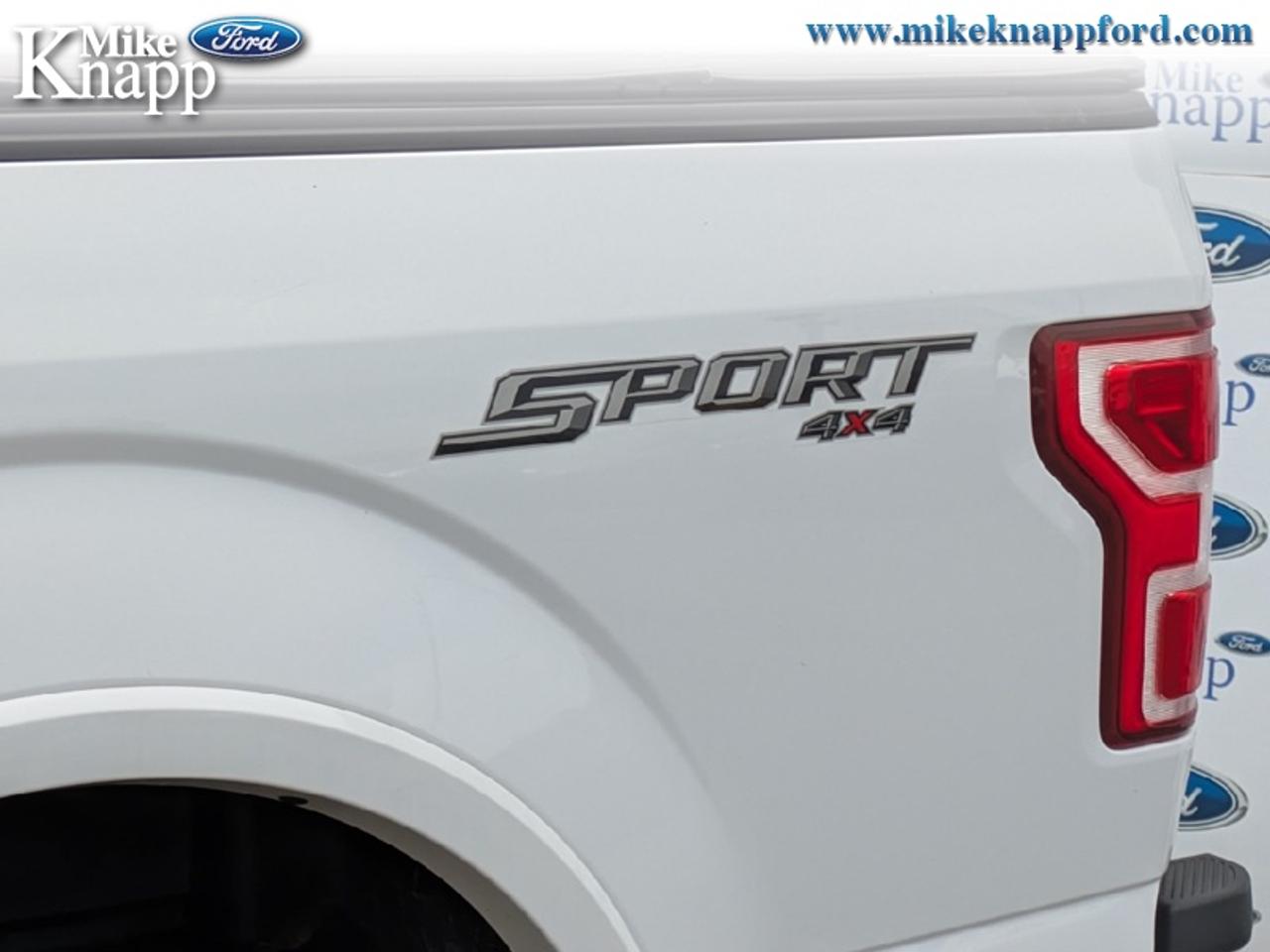 2019 Ford F-150 XLT Photo