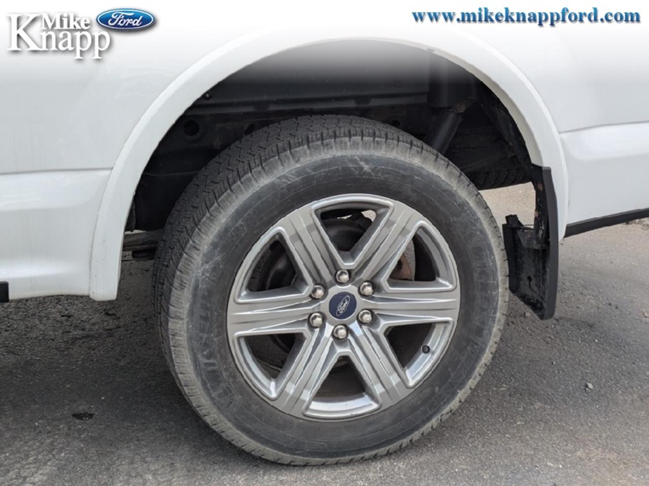 2019 Ford F-150 XLT Photo