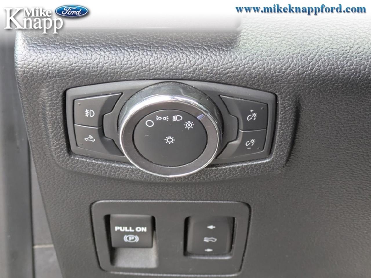 2019 Ford F-150 XLT Photo