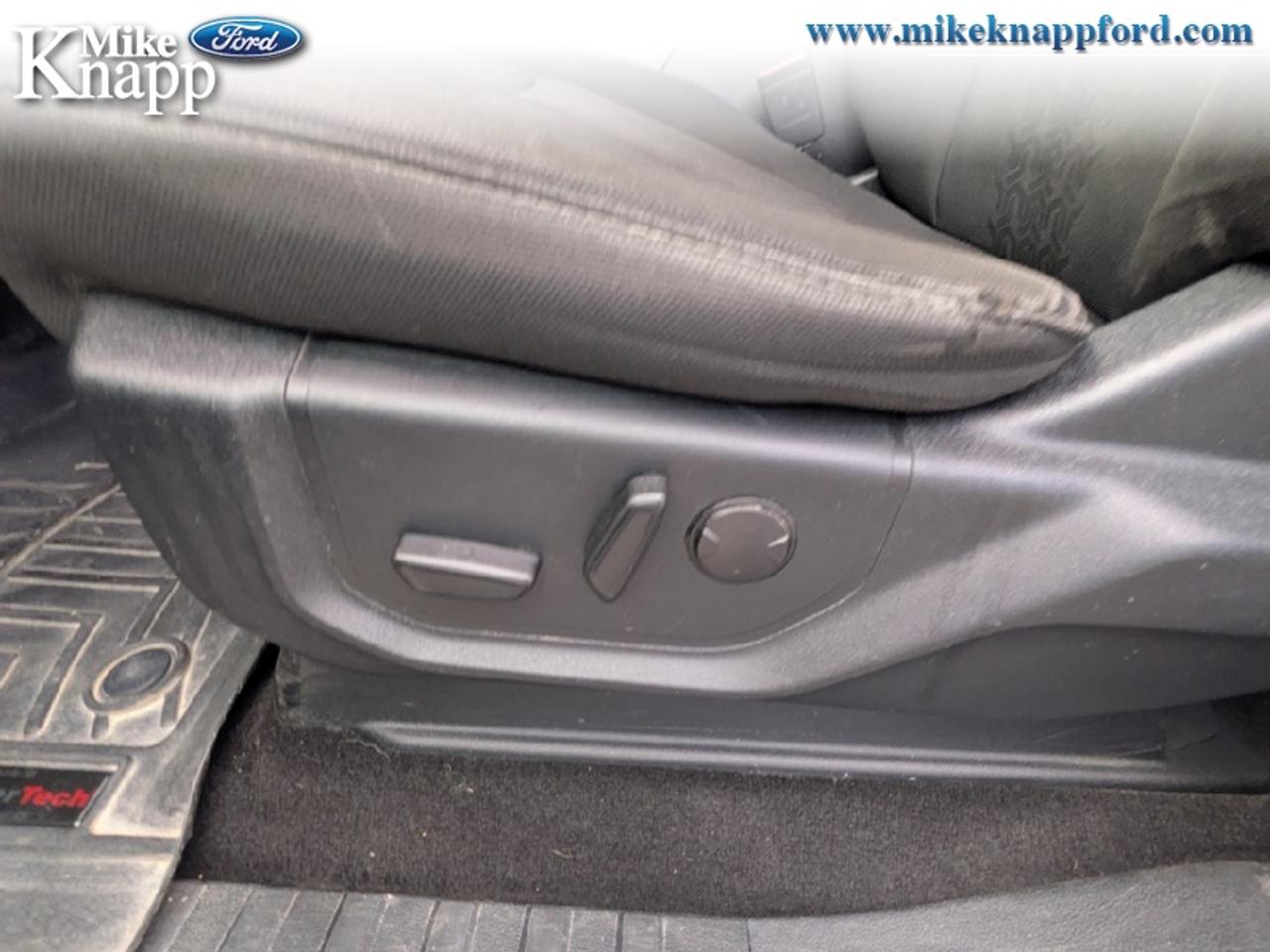 2019 Ford F-150 XLT Photo