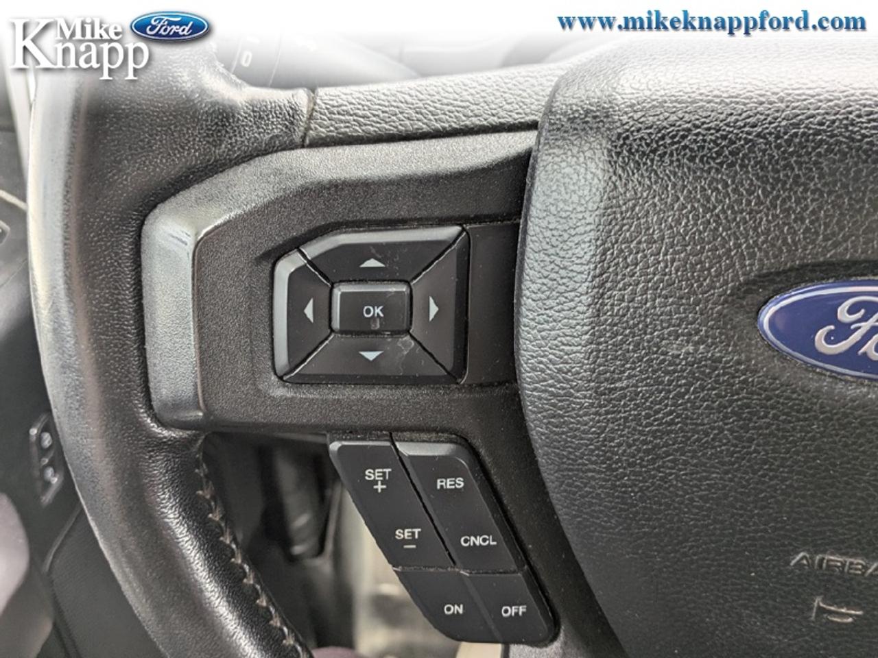 2019 Ford F-150 XLT Photo