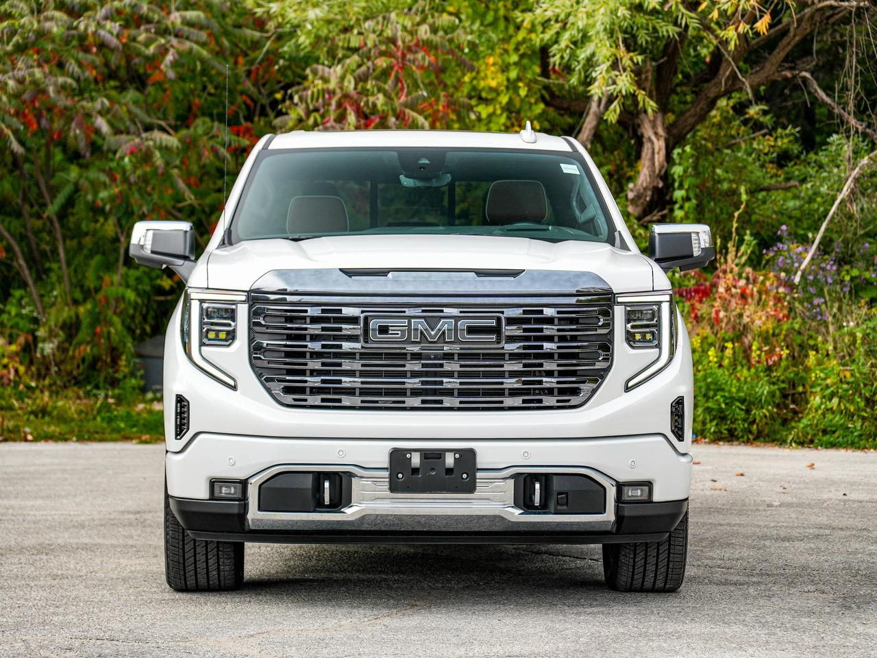 2024 GMC Sierra 1500 Denali Ultimate Photo