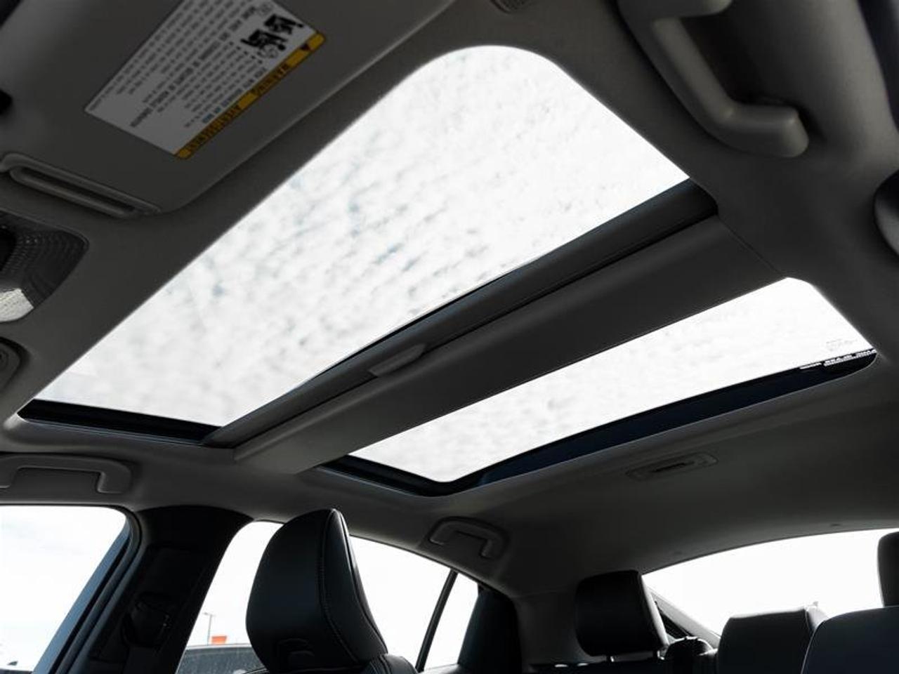 2026 Toyota Prius Limited AWD Photo