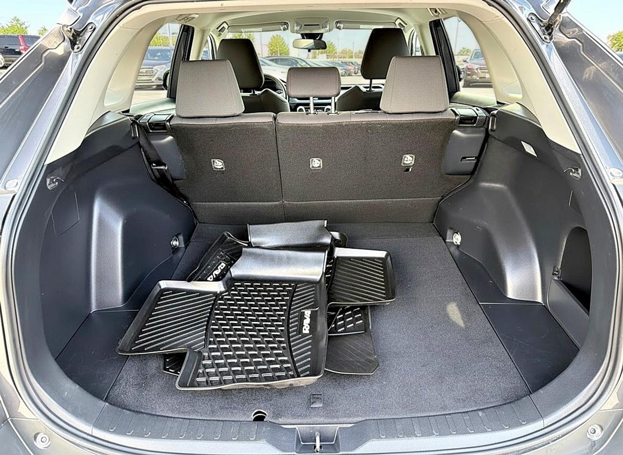 2019 Toyota RAV4 LE Photo