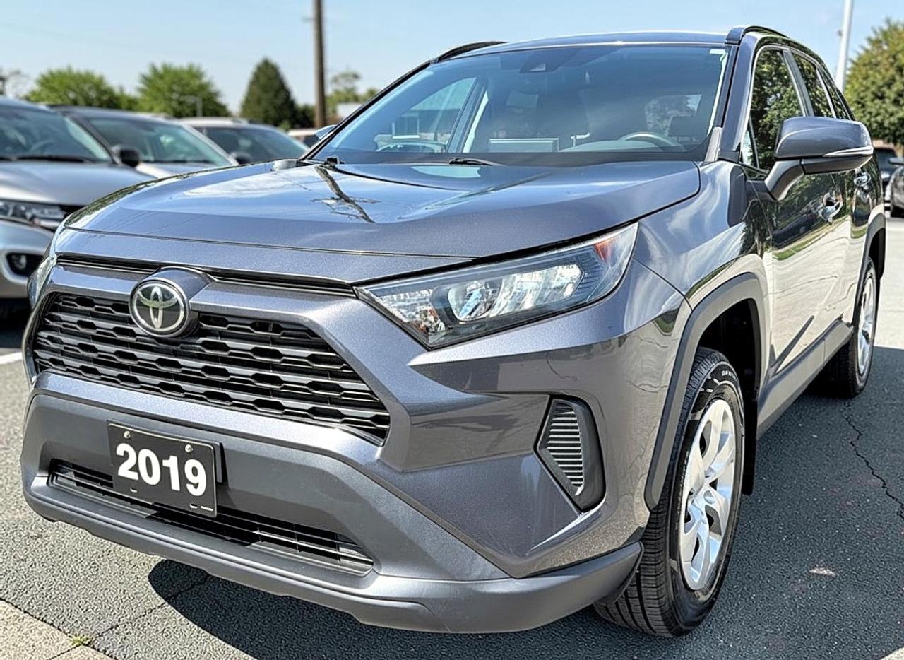 2019 Toyota RAV4 LE Photo