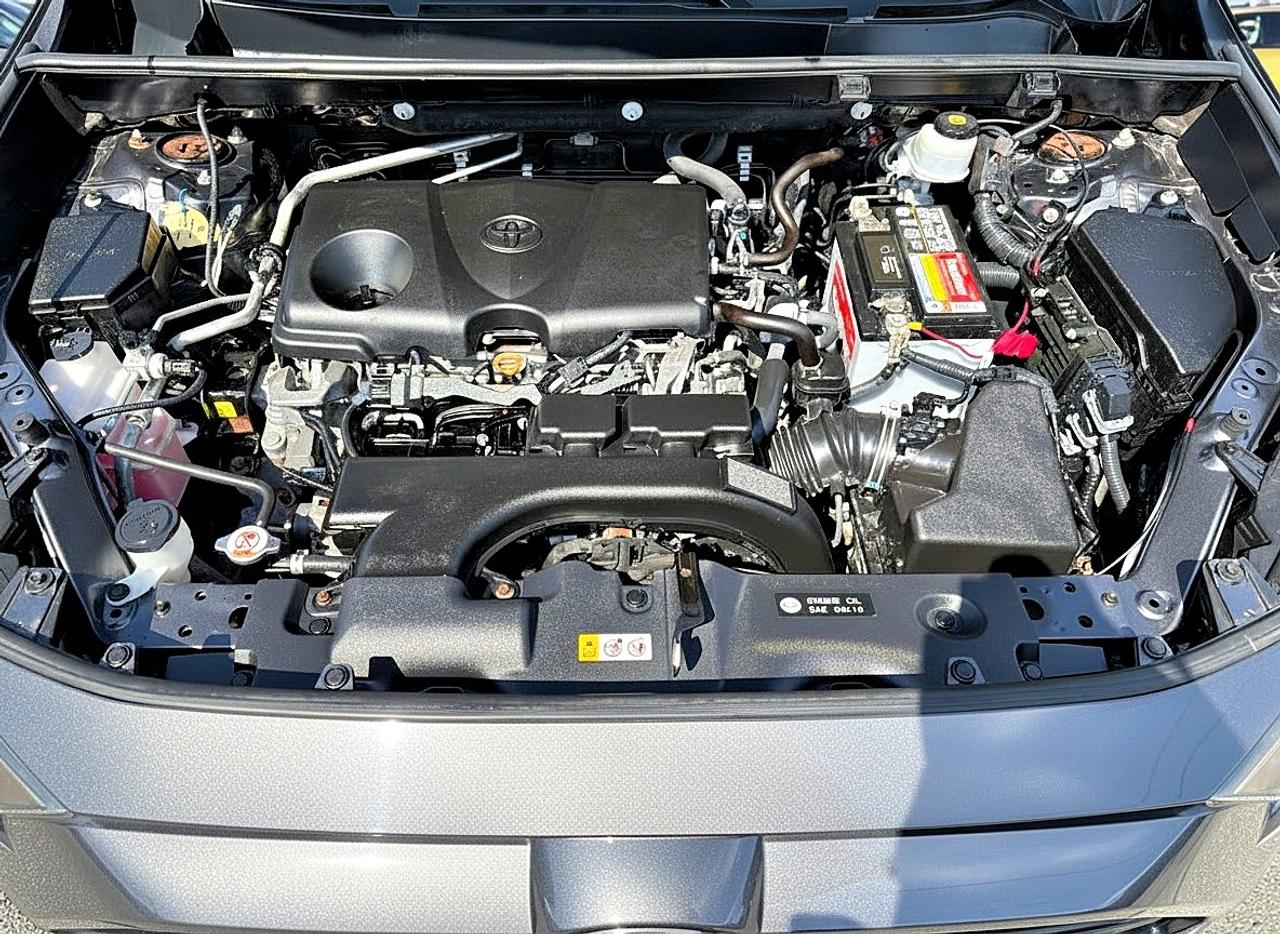 2019 Toyota RAV4 LE Photo